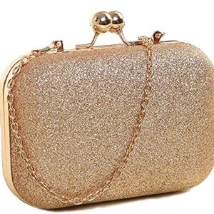 Hand Embroidered Clutch Bag for Women and Girls by TOOBA