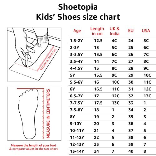 Women's Sneaker Shoes from Shoetopia