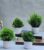 Set of 4 Mini Artificial Plants with Pots – Green